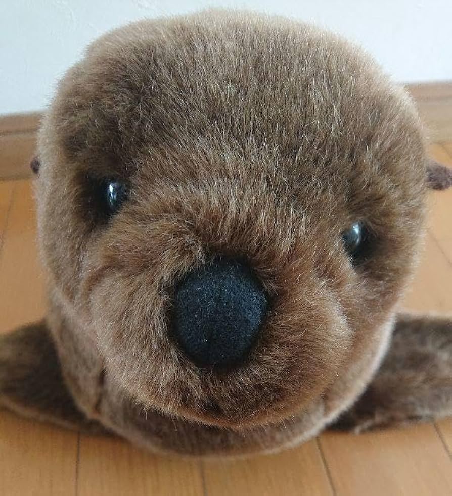 仙台 うみの杜水族館 アシカ ぬいぐるみ Amazon.co.jp: 仙台 うみの杜水族館 アシカ ぬいぐるみ : おもちゃ